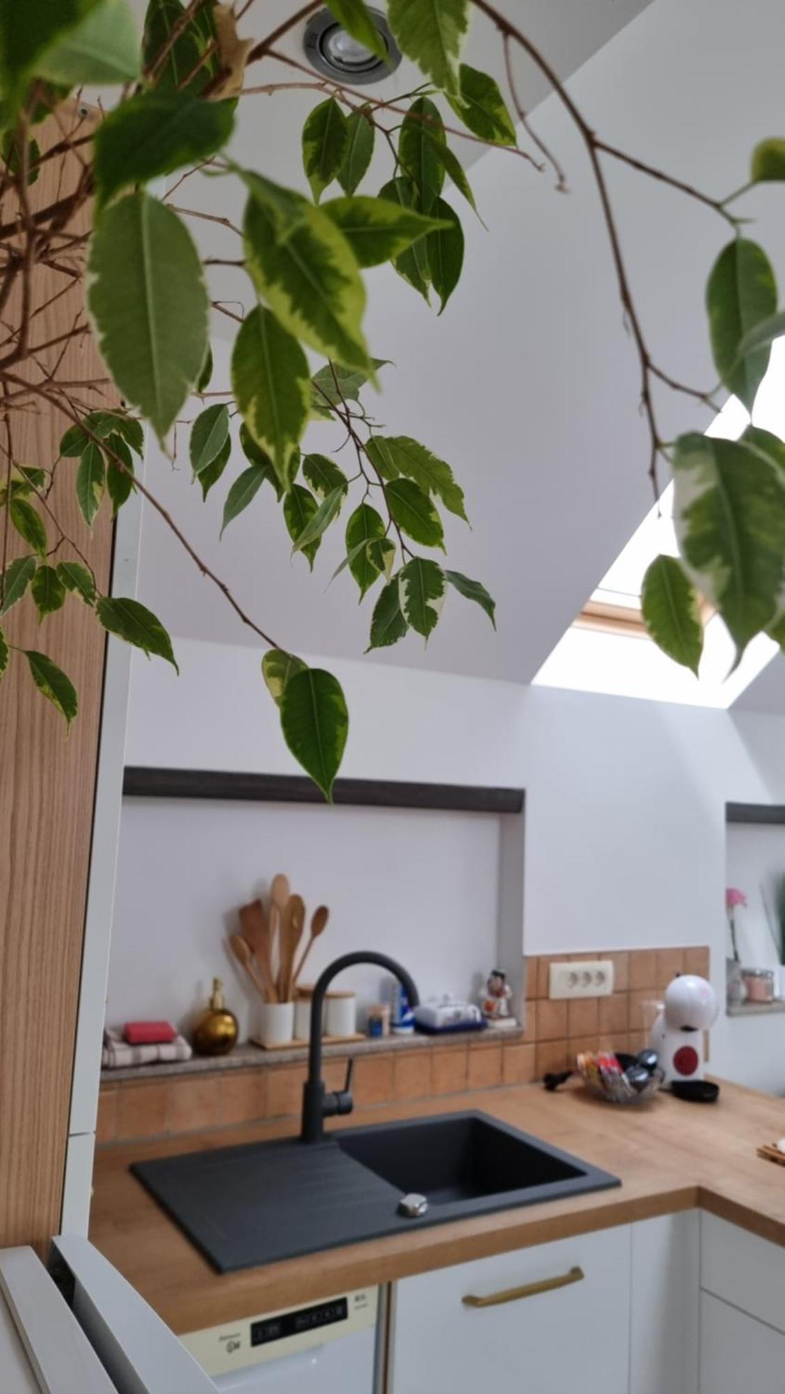 Apartma Katarina Bled Exteriér fotografie